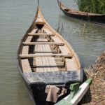 chibayish marshes boat